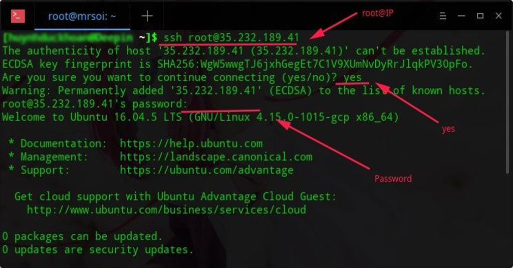 SSH vs VPS Google cloud seo hai phong net 1